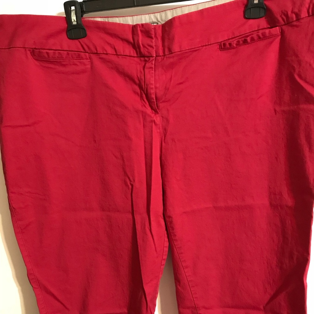 Avenue Signature Chino Capris Sz 22